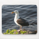 Search for nature image electronics Animals