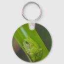 Search for green frog key rings Nature