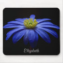 Search for gerbera mousepads Flower