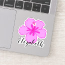 Search for hawaiian girl stickers Hibiscus