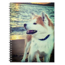 Search for akitas notebooks Dog