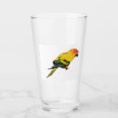 Search for conure kitchen dining Pet