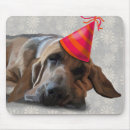 Search for party mousepads Flowers