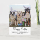 Search for funny dog easter cards Rabbit