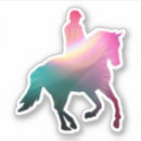 Search for rainbow horse stickers Equestrian