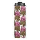 Search for protea flower mugs Plant