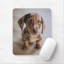 Search for dapple mousepads Dog