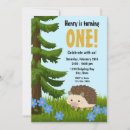 Search for hedgehog birthday invitations Boy