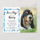 Search for adoptions cards New pet