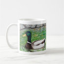 Search for green duck mugs Wildlife