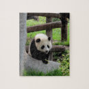 Search for panda puzzles Nature