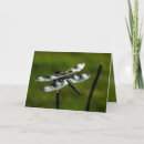 Search for flying dragons cards Dragonfly