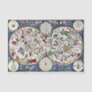 Search for constellation tissue paper Cosmos