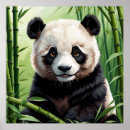 Search for panda bears posters China