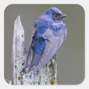 Search for gari stickers Bird