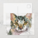Search for portraiture postcards Feline