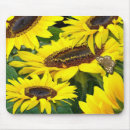 Search for sunflower mousepads Floral
