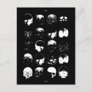 Search for skull cards invites Dark