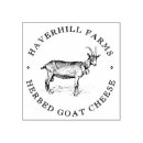 Search for cute rubber duck Goose