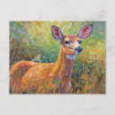 Search for whitetail deer postcards Wildlife