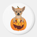 Search for thanksgiving magnets Animal