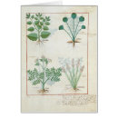 Search for medicinal plants postcards 15th