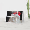 Search for cat in window christmas cards Pet