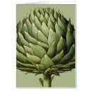 Search for cynara Botany