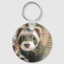 Search for ferret key rings Cute