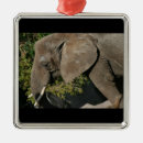 Search for mammals christmas tree decorations Animal