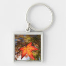Search for blurred key rings Blue