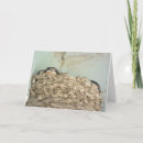 Search for swallows cards Baby birds