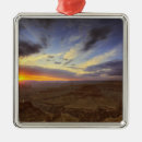 Search for geology christmas tree decorations Arizona