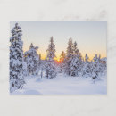 Search for conifer postcards Snow