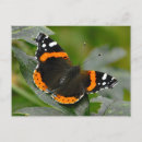 Search for admiring postcards Nature