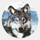 Search for wolf face stickers Wildlife