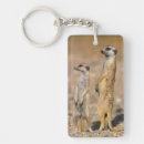 Search for alertness key rings Colour image