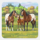 Search for appaloosa horse stickers Appaloosas