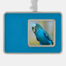 Search for budgie christmas tree decorations Bird