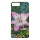 Search for lily photography Pink