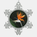 Search for birds of paradise christmas tree decorations Green
