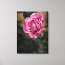 Search for angels canvas prints Flowers