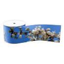 Search for cherry blossoms ribbon Elegant