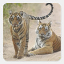 Search for royal tiger stickers Threatened