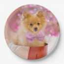 Search for dog christmas plates Puppy