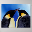 Search for emperor penguin posters Animal