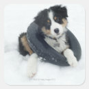 Search for cold temperature stickers Horizontal
