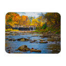 Search for danita delimont magnets Tree