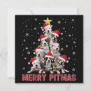 Search for pitbull christmas cards Snow