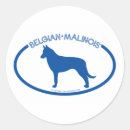 Search for malinois stickers Dogs